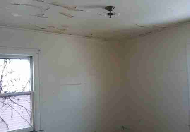 4308 Tyler 2-14-19 8.jpg